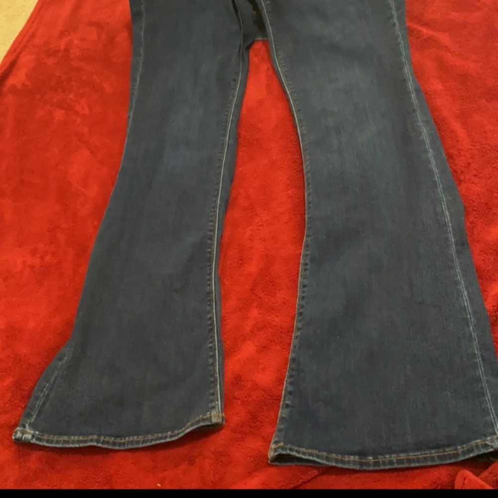 AE High rise flare leg artist jean 14L